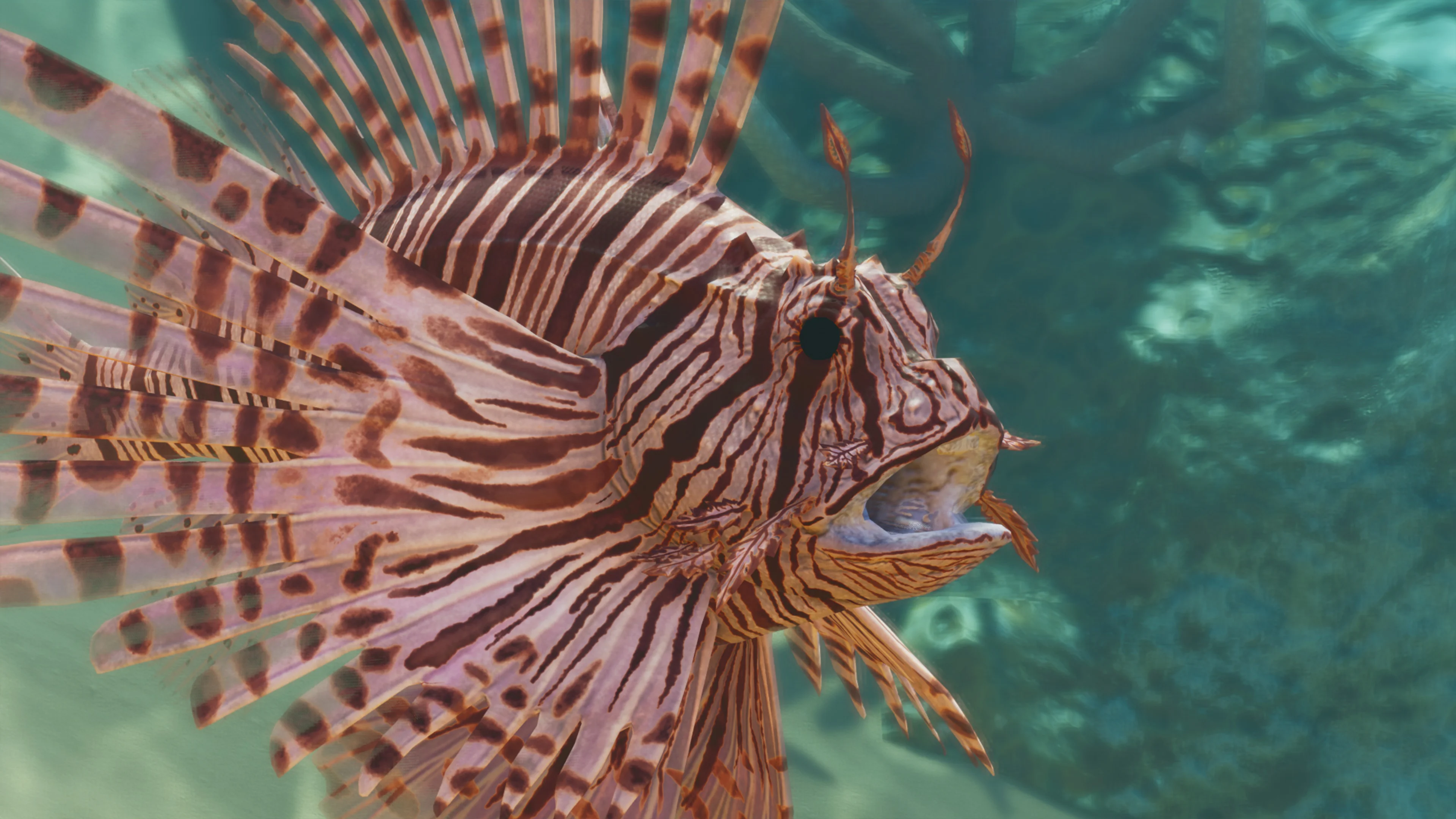 Red Lionfish