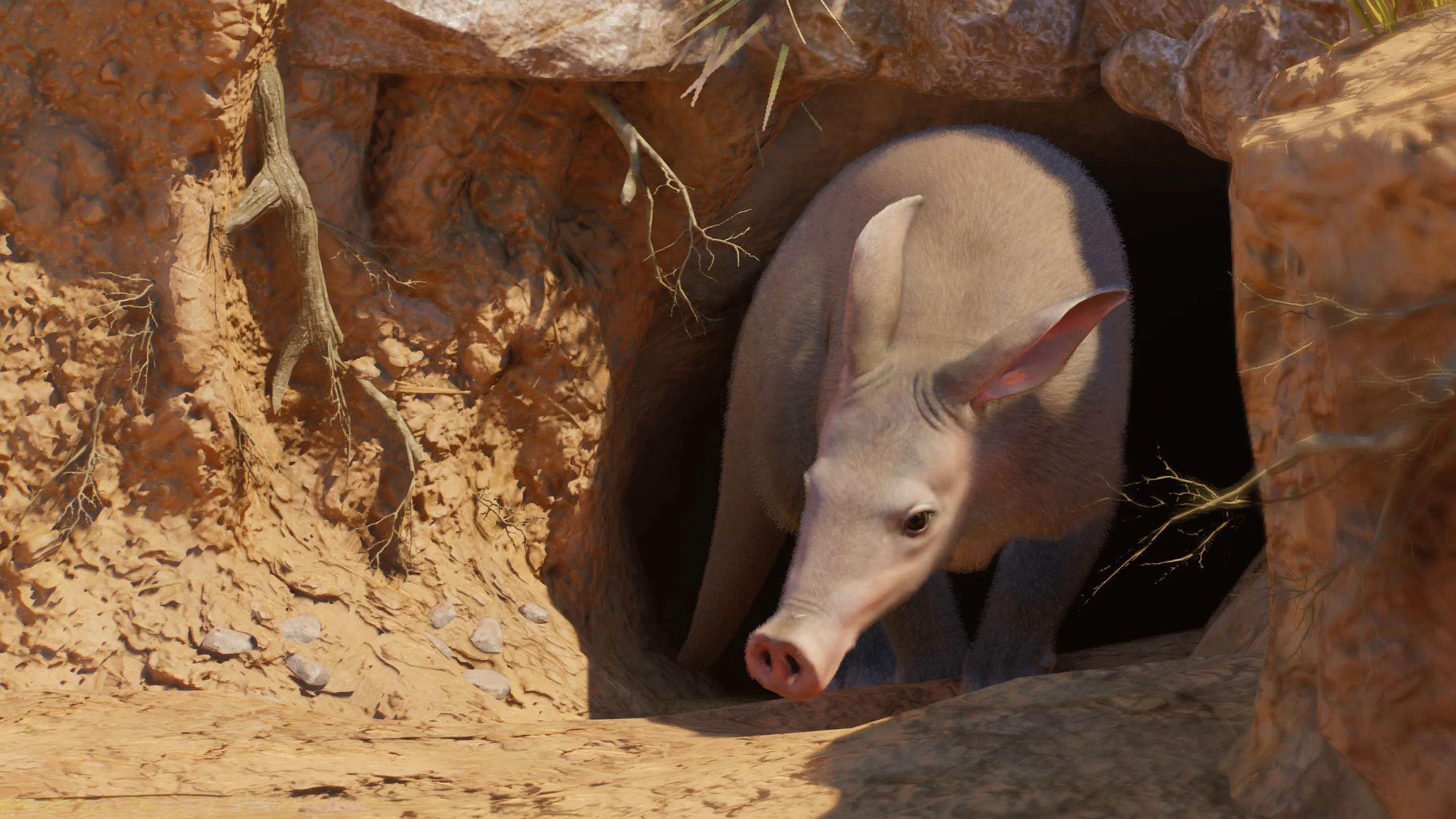 Aardvark