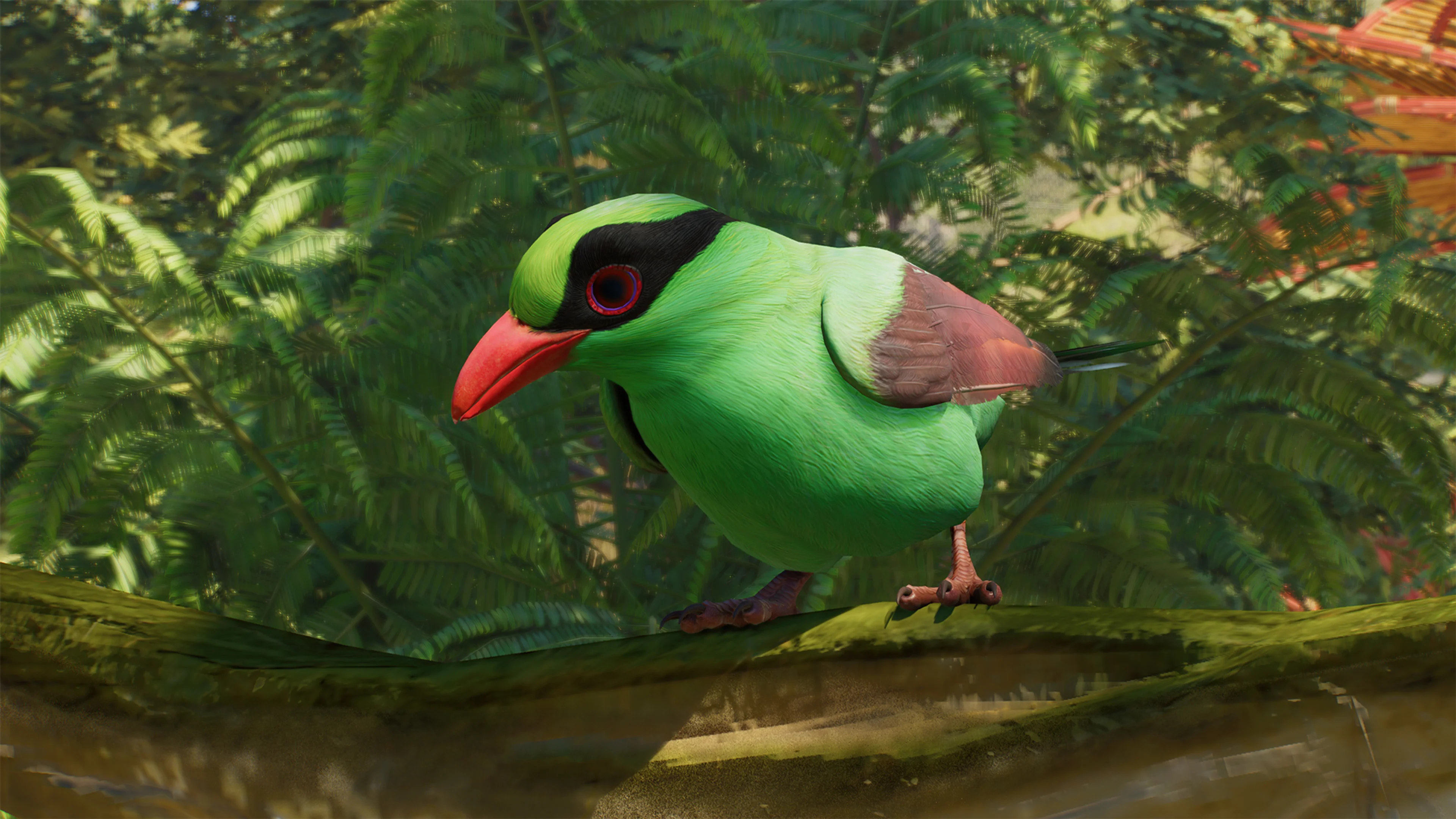 Javan Green Magpie