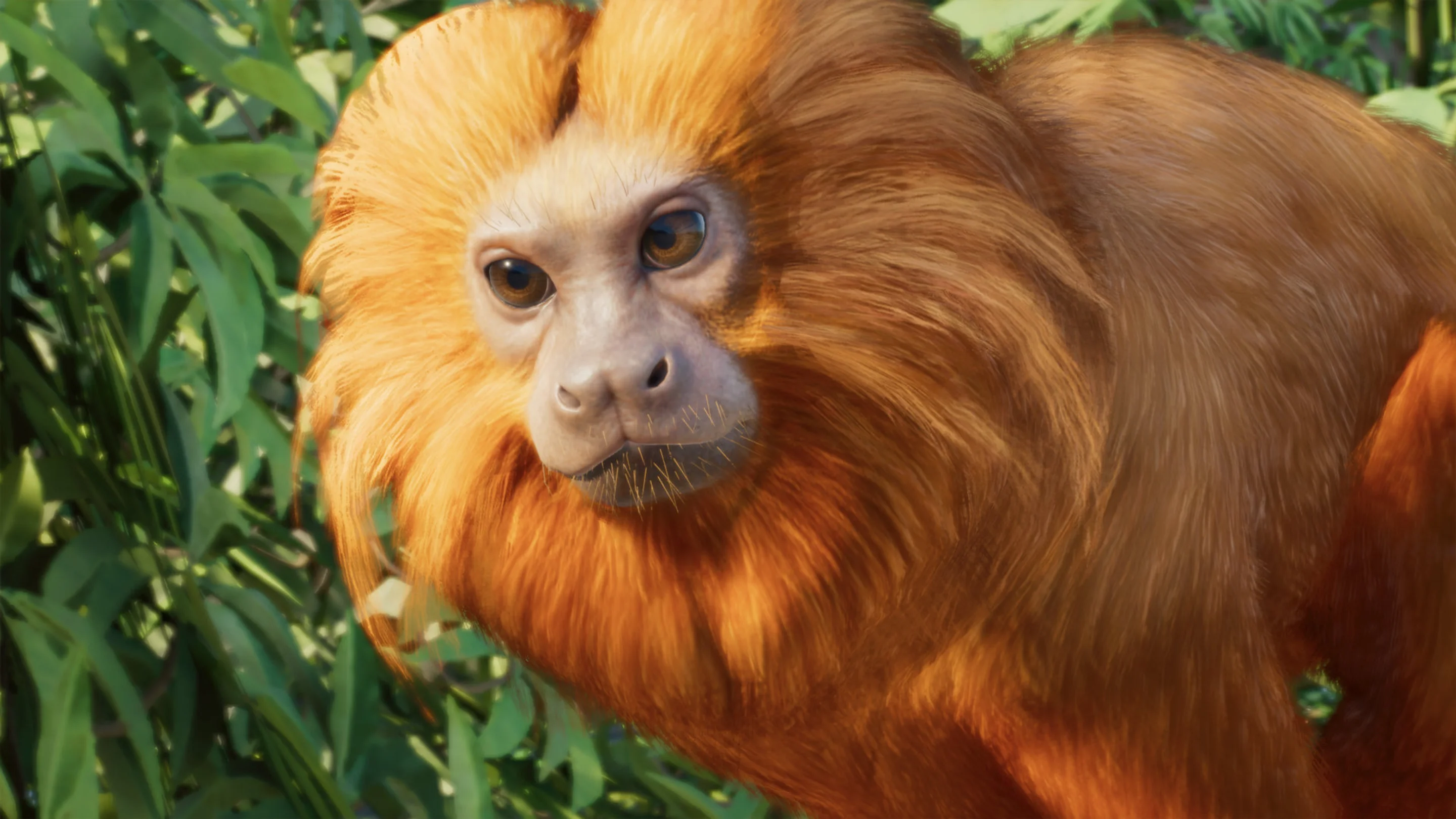 Golden Lion Tamarin