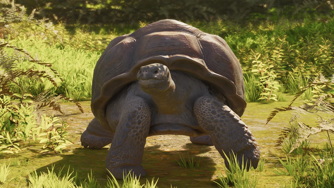 Tortuga gigante de las Galápagos