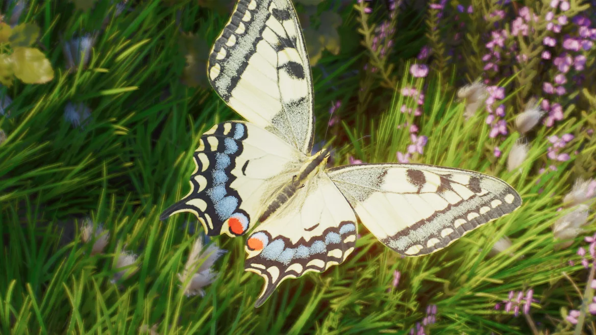 Machaon