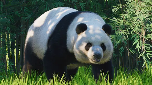 Giant Panda in Planet Zoo 2