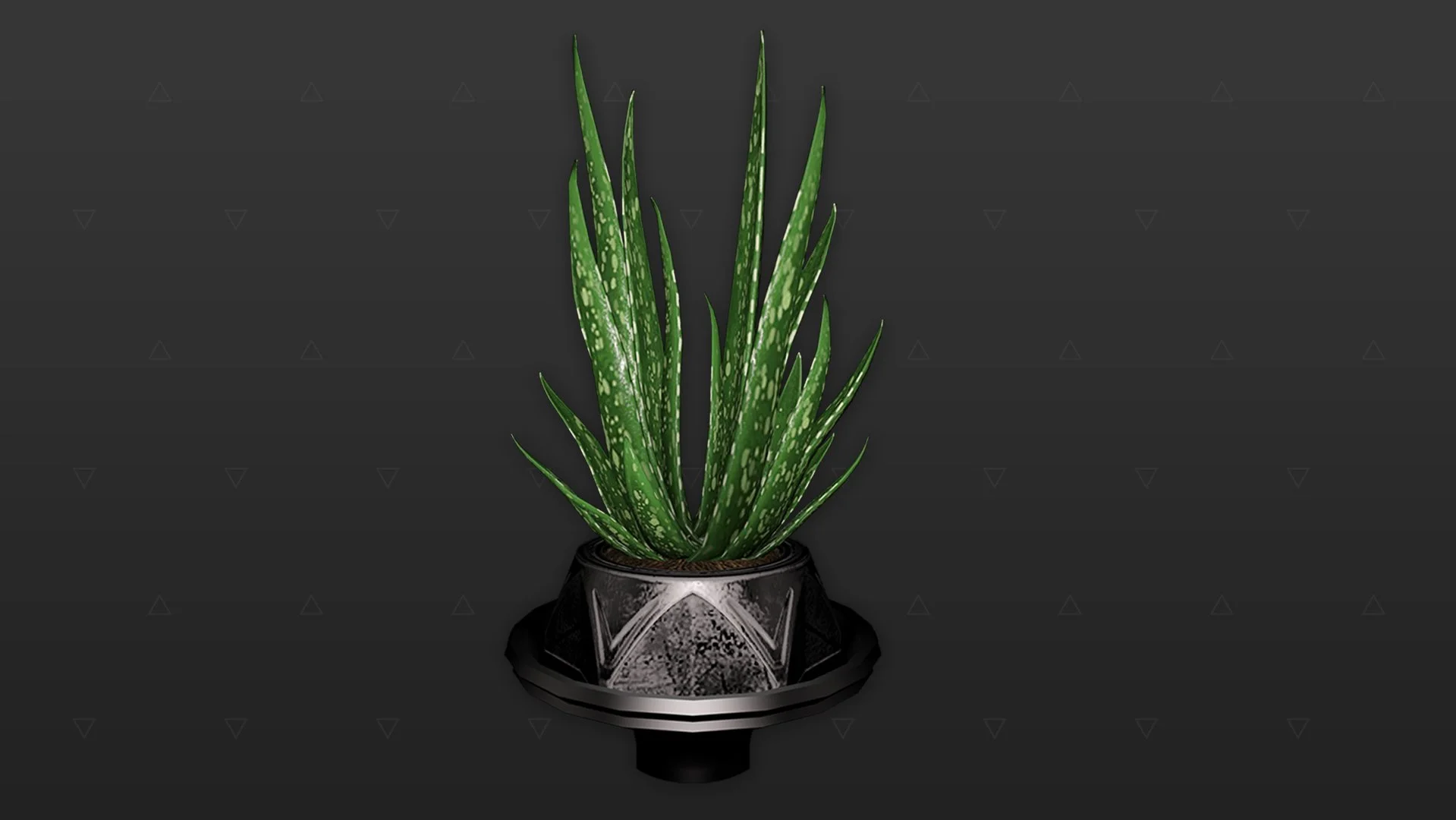 Pflanze - Aloe vera