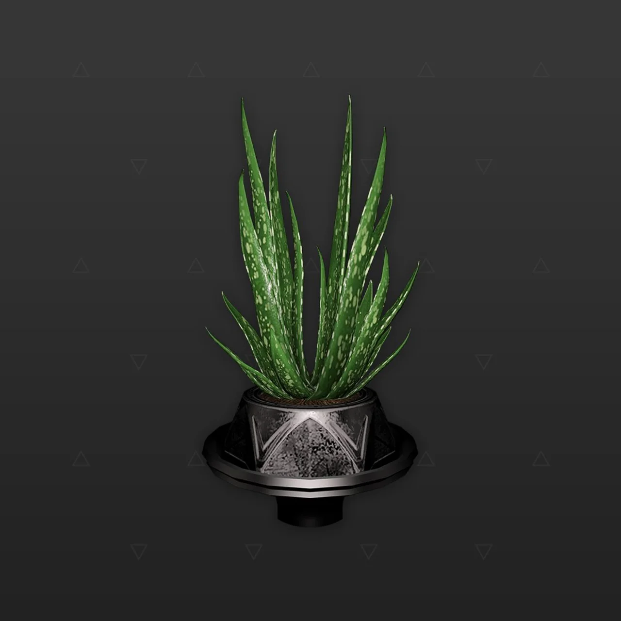 Planta - Aloe vera