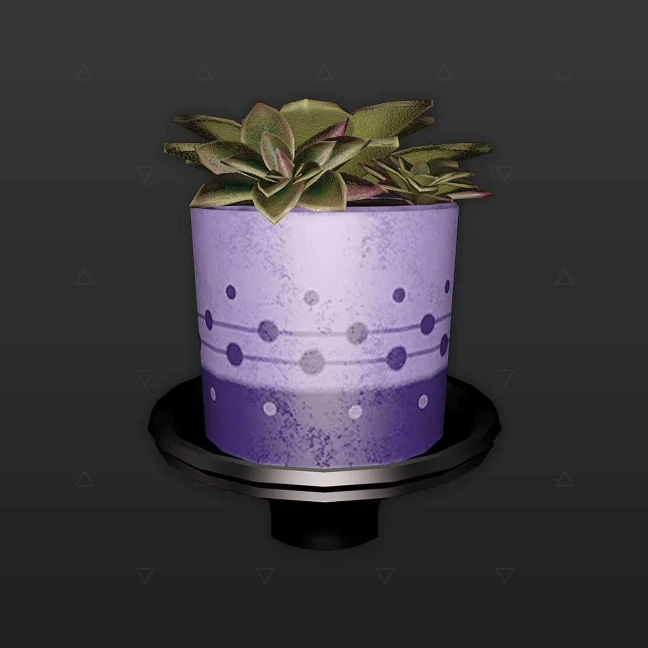 Planta - Suculenta
