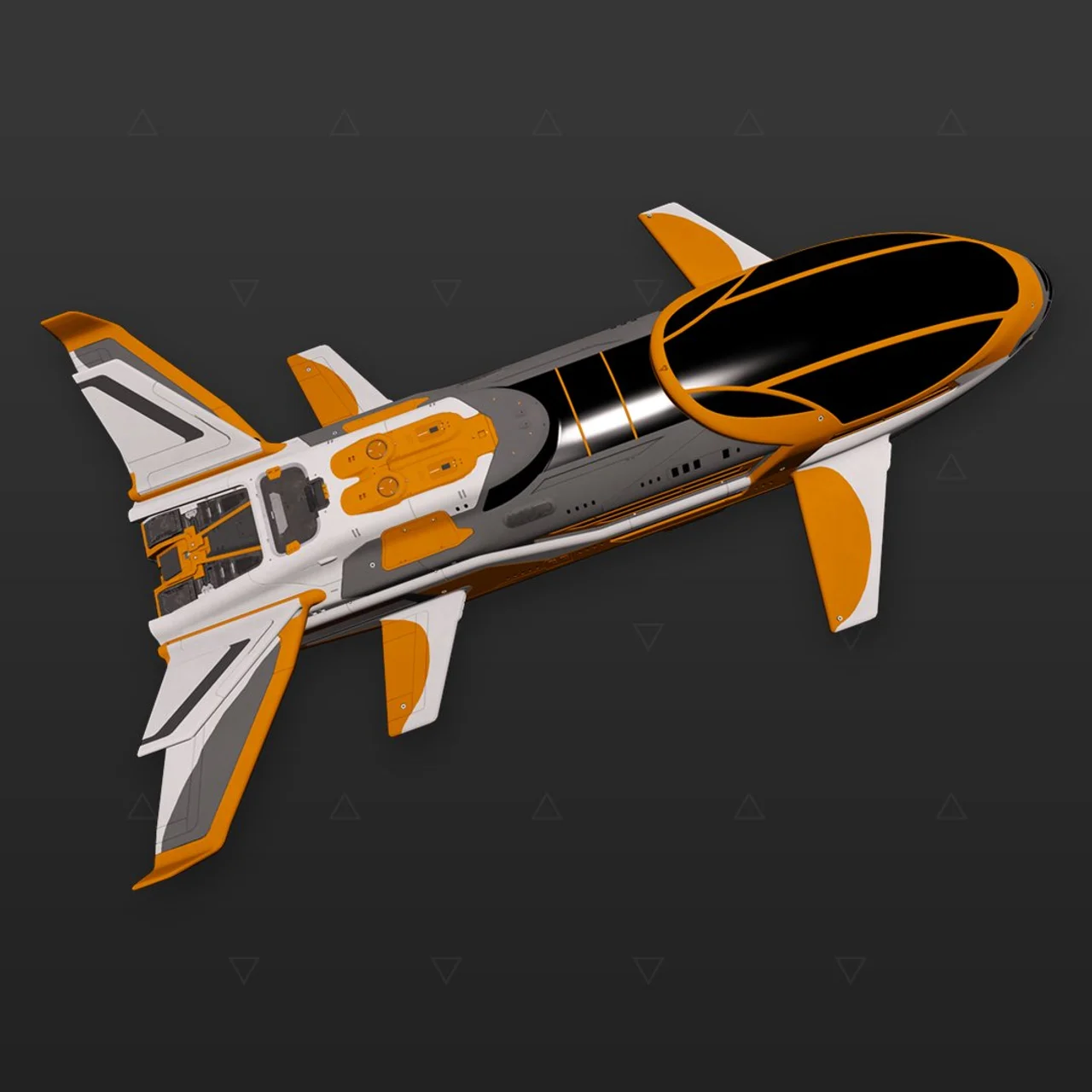 Beluga Liner - „Expedition“ - Rost