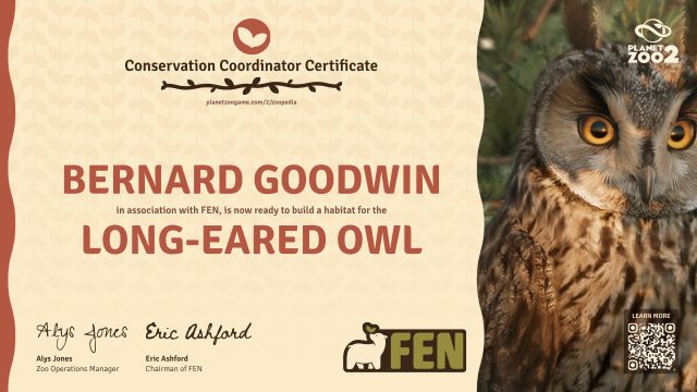 Long-Eared Owl