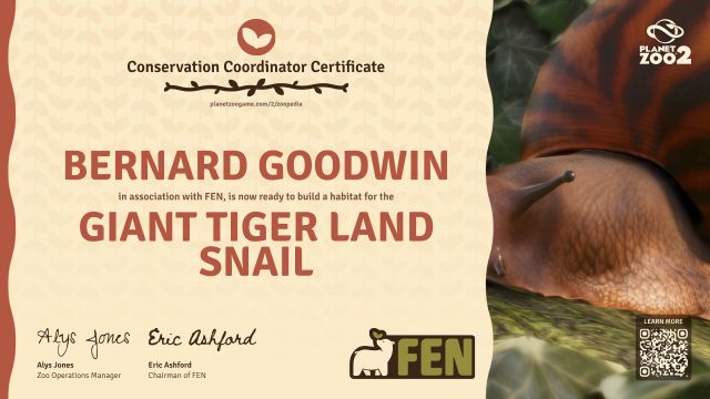 Giant Tiger Land Snail