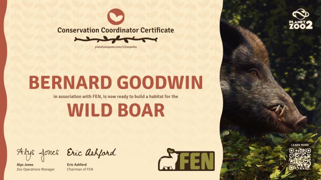 Wild Boar