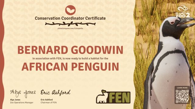 African Penguin