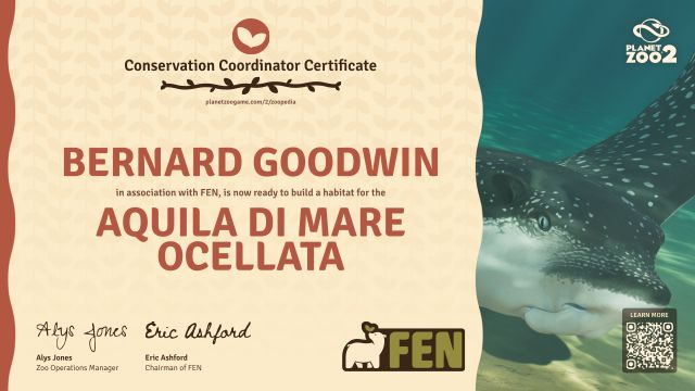 Aquila di mare ocellata