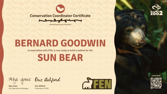 Sun Bear