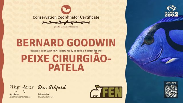 Peixe cirurgião-patela