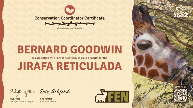 Jirafa reticulada