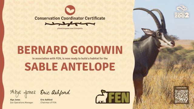 Sable Antelope