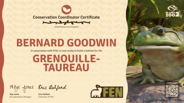 Grenouille-taureau