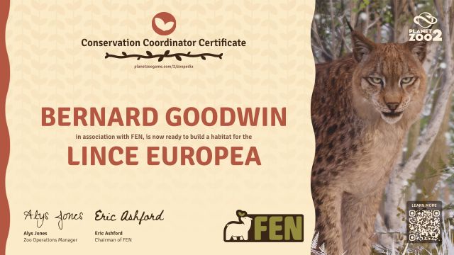 Lince europea