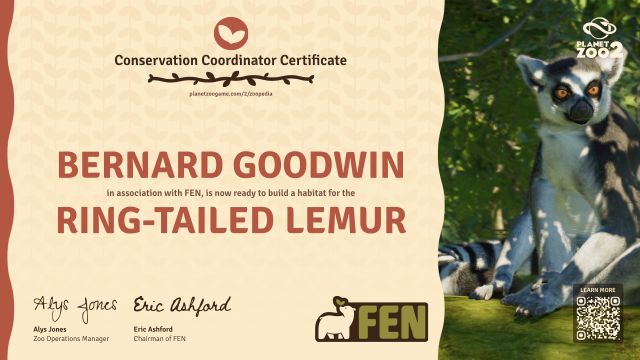Ring-Tailed Lemur