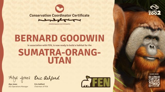 Sumatra-Orang-Utan