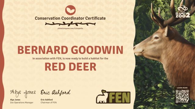 Red Deer