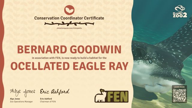 Ocellated Eagle Ray