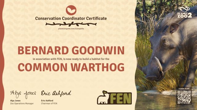 Common Warthog