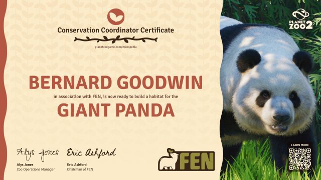 Giant Panda