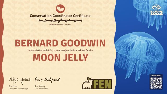 Moon Jelly