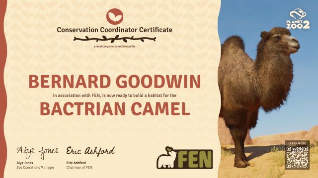 Bactrian Camel