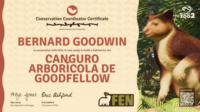 Canguro arborícola de Goodfellow