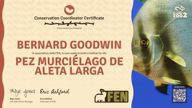 Pez murciélago de aleta larga