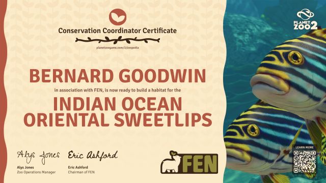 Indian Ocean Oriental Sweetlips
