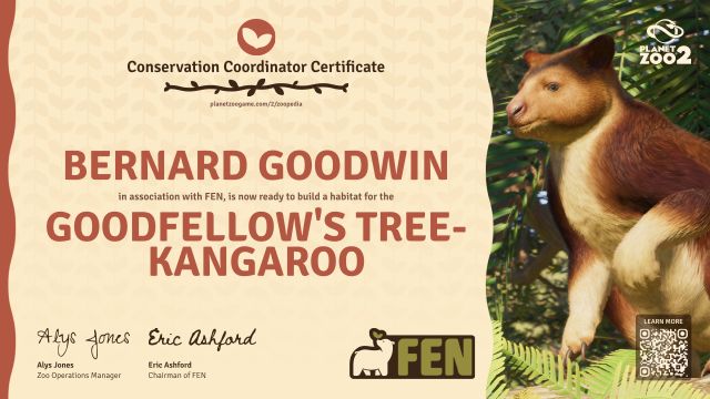 Goodfellow's Tree-Kangaroo