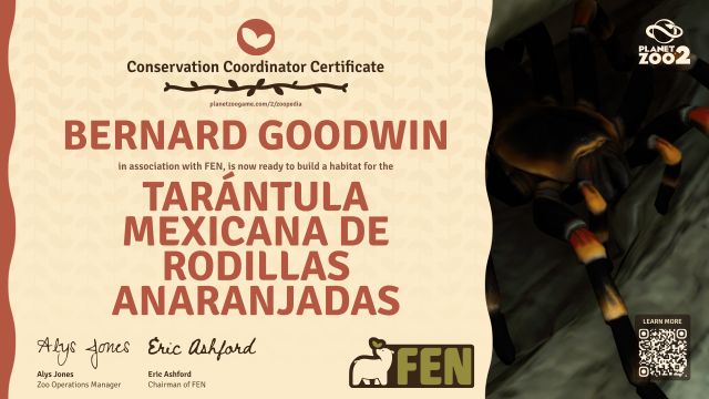 Tarántula mexicana de rodillas anaranjadas