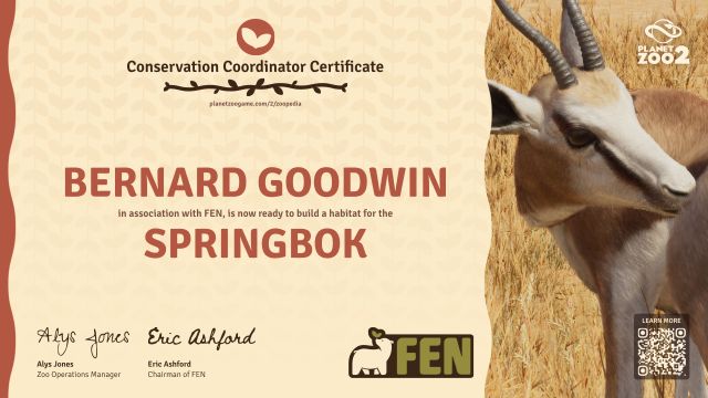 Springbok