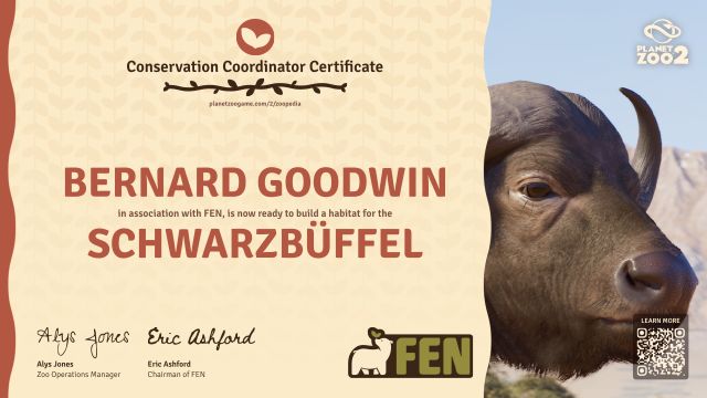 Schwarzbüffel