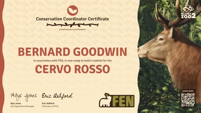 Cervo rosso