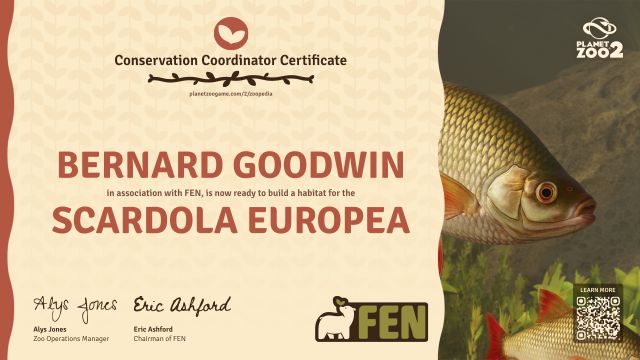 Scardola europea