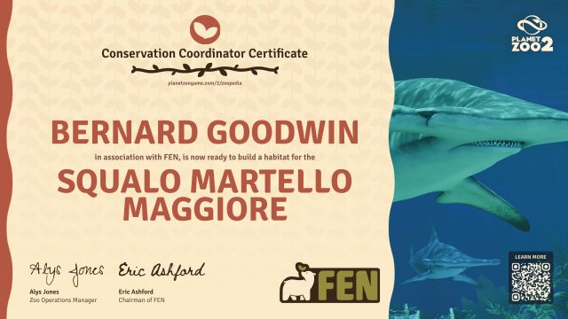 Squalo martello maggiore