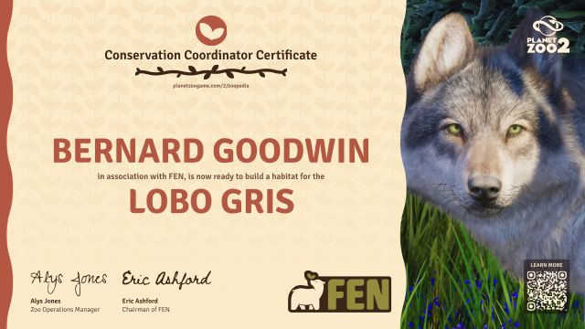 Lobo gris