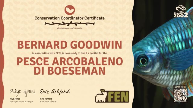 Pesce arcobaleno di Boeseman