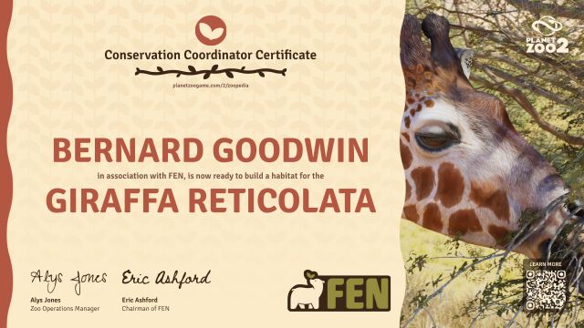 Giraffa reticolata