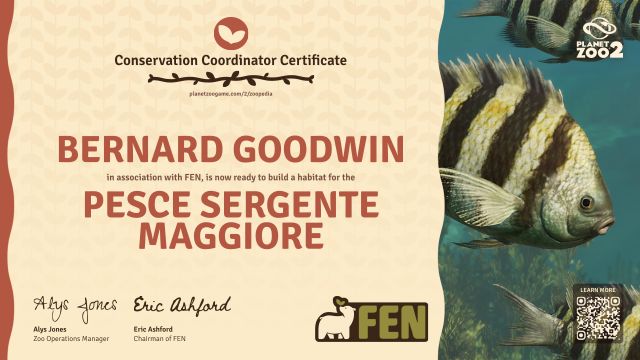 Pesce sergente maggiore