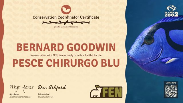 Pesce chirurgo blu