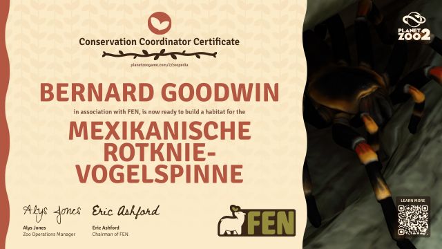 Mexikanische Rotknie-Vogelspinne