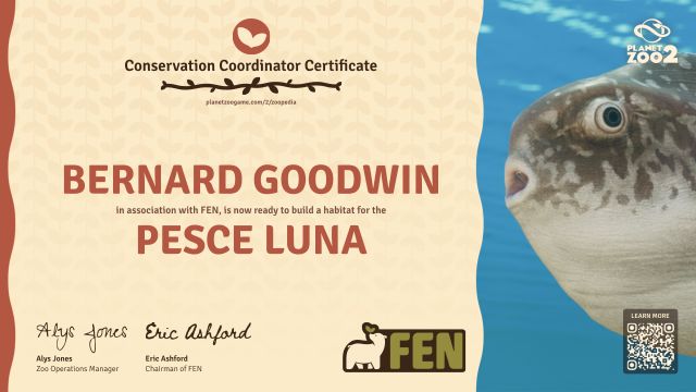 Pesce luna