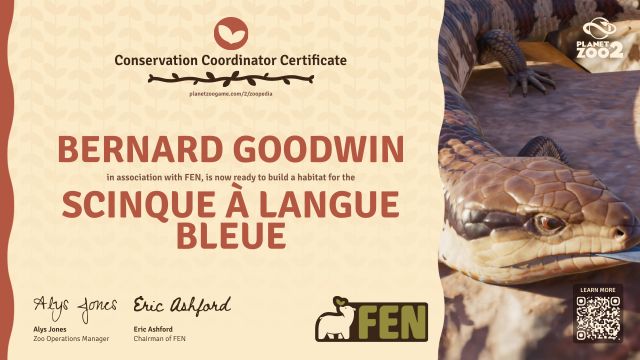 Scinque à langue bleue