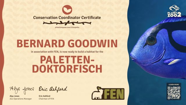 Paletten-Doktorfisch