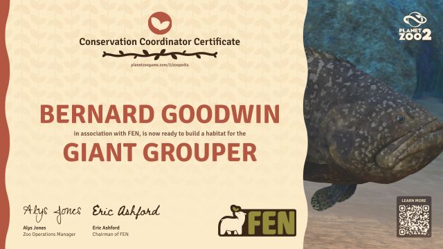 Giant Grouper